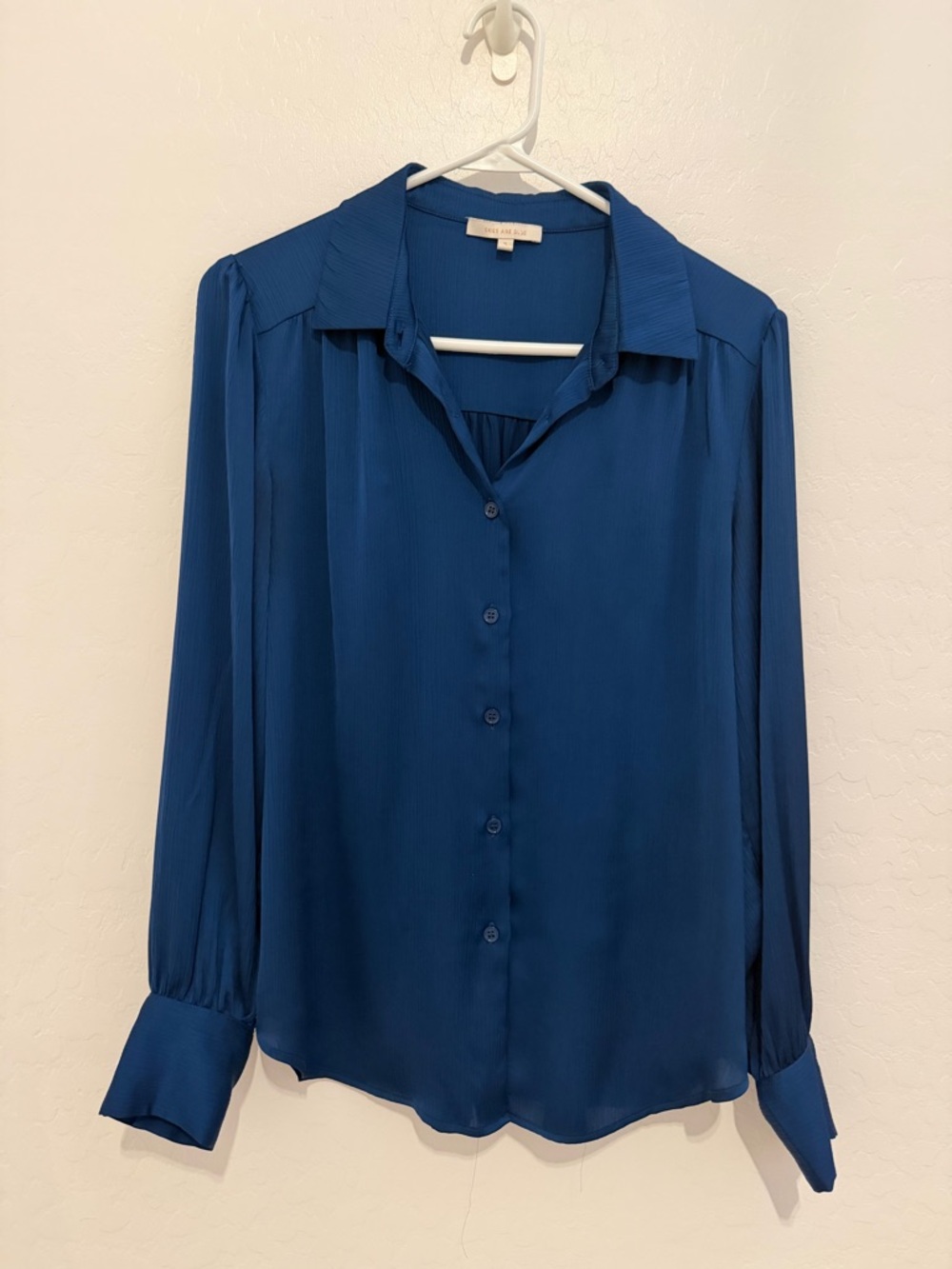 Skies Are Blue Long Sleeve Button-Down Blouse in Cobalt